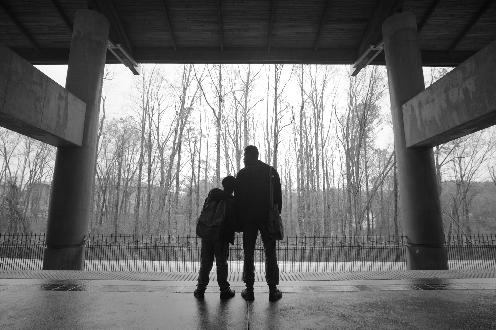 AFI FEST 2024: Interview With The Cast & Director of Color Book